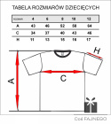 T-Shirt Radzevia napis + logo czarny