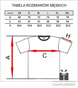 T-shirt Radzevia MOC NIEDŹWIEDZIA biały BAWEŁNA