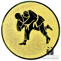 Emblemat / Judo / Złoty