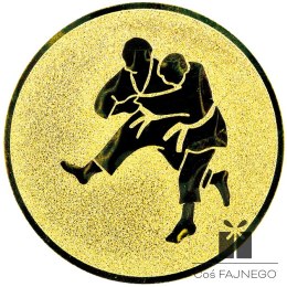 Emblemat / Judo / Złoty