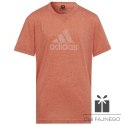 Koszulka adidas FI Big Logo Tee girls Jr IC0110, Rozmiar: 152 cm