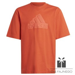 Koszulka adidas FI Logo Tee Jr HR6296, Rozmiar: 152 cm