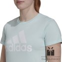 Koszulka adidas Big Logo Tee HL2027, Rozmiar: S