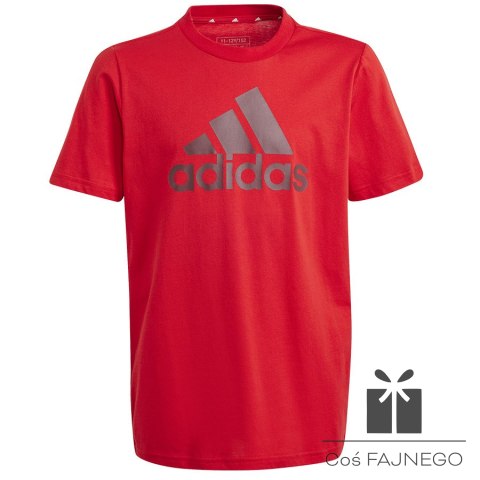 Koszulka adidas Big Logo Tee Jr IJ6262, Rozmiar: 152 cm