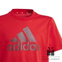 Koszulka adidas Big Logo Tee Jr IJ6262, Rozmiar: 152 cm