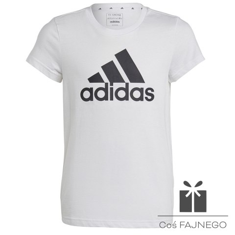 Koszulka adidas Big Logo Tee girls Jr IC6121, Rozmiar: 164 cm