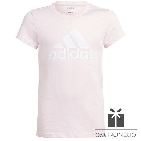 Koszulka adidas Big Logo Tee girls Jr IC6123, Rozmiar: 152 cm