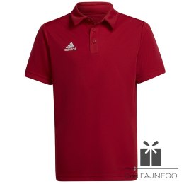 Koszulka adidas Polo ENTRADA 22 Y H57495, Rozmiar: 164 cm