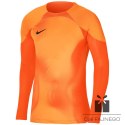 Bluza Nike Gardien IV Goalkeeper JSY DH7967 819, Rozmiar: XXL