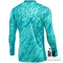 Bluza Nike Gardien V Goalkeeper DF V FD7474-354, Rozmiar: XL