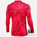 Bluza Nike Gardien V Goalkeeper DF V FD7474-644, Rozmiar: L