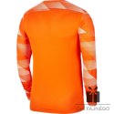 Bluza Nike Park IV GK CJ6066 819, Rozmiar: M