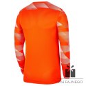 Bluza Nike Y Park IV GK Boys CJ6072 819, Rozmiar: L (147-158cm)