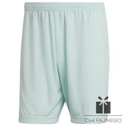 Spodenki adidas ENTRADA 22 Short HC5051, Rozmiar: M