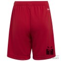 Spodenki adidas ENTRADA 22 Short Y H57501, Rozmiar: 116 cm