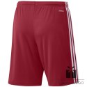 Spodenki adidas SQUADRA 21 Short GN5771, Rozmiar: L