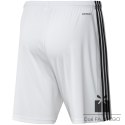 Spodenki adidas SQUADRA 21 Short GN5773, Rozmiar: XXL