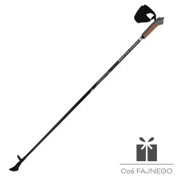 Kije Nordic Walking Titanium, 0