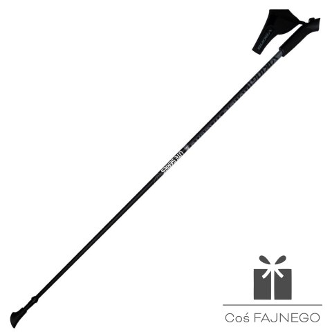 Kije Nordic Walking Viking, 0