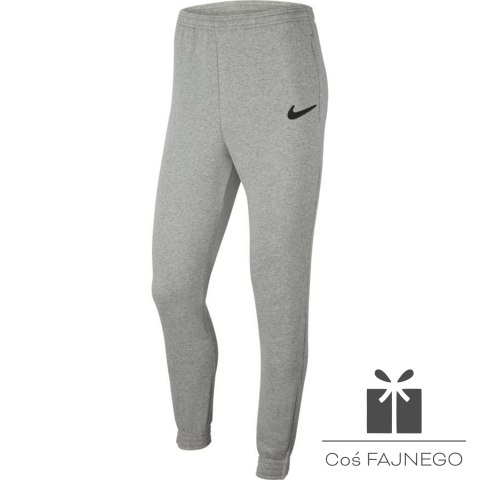 Spodnie Nike Park 20 Fleece Pant CW6907 063, Rozmiar: S