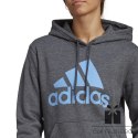 Bluza adidas Big Logo FL R HD IC9845, Rozmiar: XS