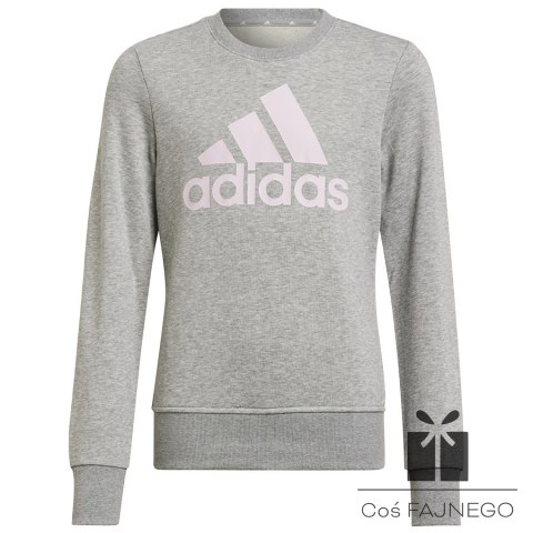 Bluza adidas Big Logo SWT HM8706, Rozmiar: 140 cm