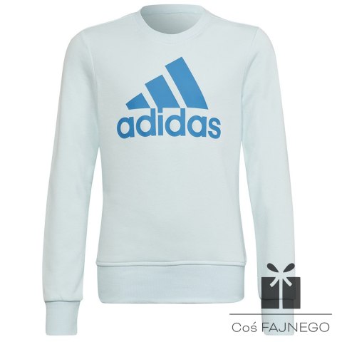 Bluza adidas Big Logo SWT HM8707, Rozmiar: 140 cm