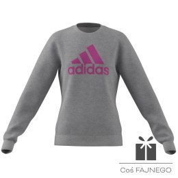 Bluza adidas Big Logo SWT girls IC6118, Rozmiar: 140 cm