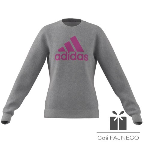 Bluza adidas Big Logo SWT girls IC6118, Rozmiar: 164 cm