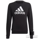 Bluza adidas Big Logo SWT girls Jr IC6117, Rozmiar: 152 cm