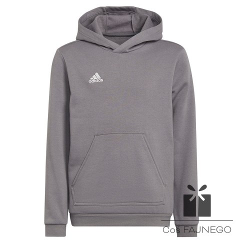 Bluza adidas ENTRADA 22 Hoody H57515, Rozmiar: 116 cm