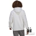 Bluza adidas ENTRADA 22 Hoody HG6302, Rozmiar: XXL