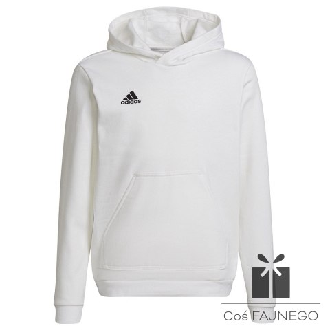 Bluza adidas ENTRADA 22 Hoody Y HG6303, Rozmiar: 116 cm