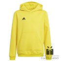 Bluza adidas ENTRADA 22 Hoody Y HI2142, Rozmiar: 116 cm