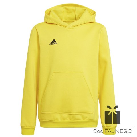 Bluza adidas ENTRADA 22 Hoody Y HI2142, Rozmiar: 116 cm