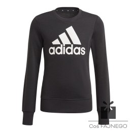 Bluza adidas Girls Essentials Big Logo Sweatshirts GP0040, Rozmiar: 140 cm