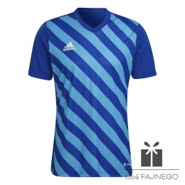 Koszulka adidas ENTRADA 22 GFX JSY HF0116, Rozmiar: XL