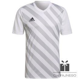 Koszulka adidas ENTRADA 22 GFX JSY HF0129, Rozmiar: XXL