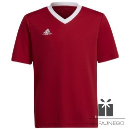 Koszulka adidas ENTRADA 22 JSY Y H57496, Rozmiar: 128 cm