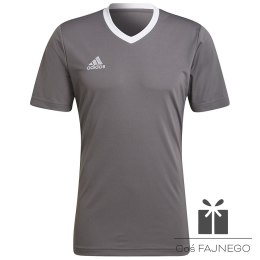 Koszulka adidas ENTRADA 22 JSY Y HE1574, Rozmiar: L