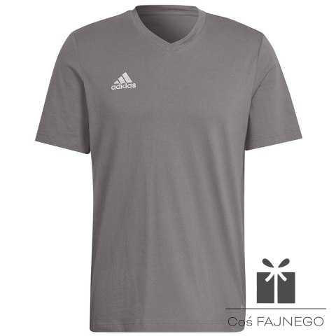 Koszulka adidas ENTRADA 22 Tee HC0449, Rozmiar: XXXL