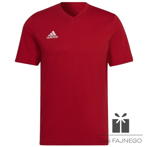 Koszulka adidas ENTRADA 22 Tee HC0451, Rozmiar: XXXL